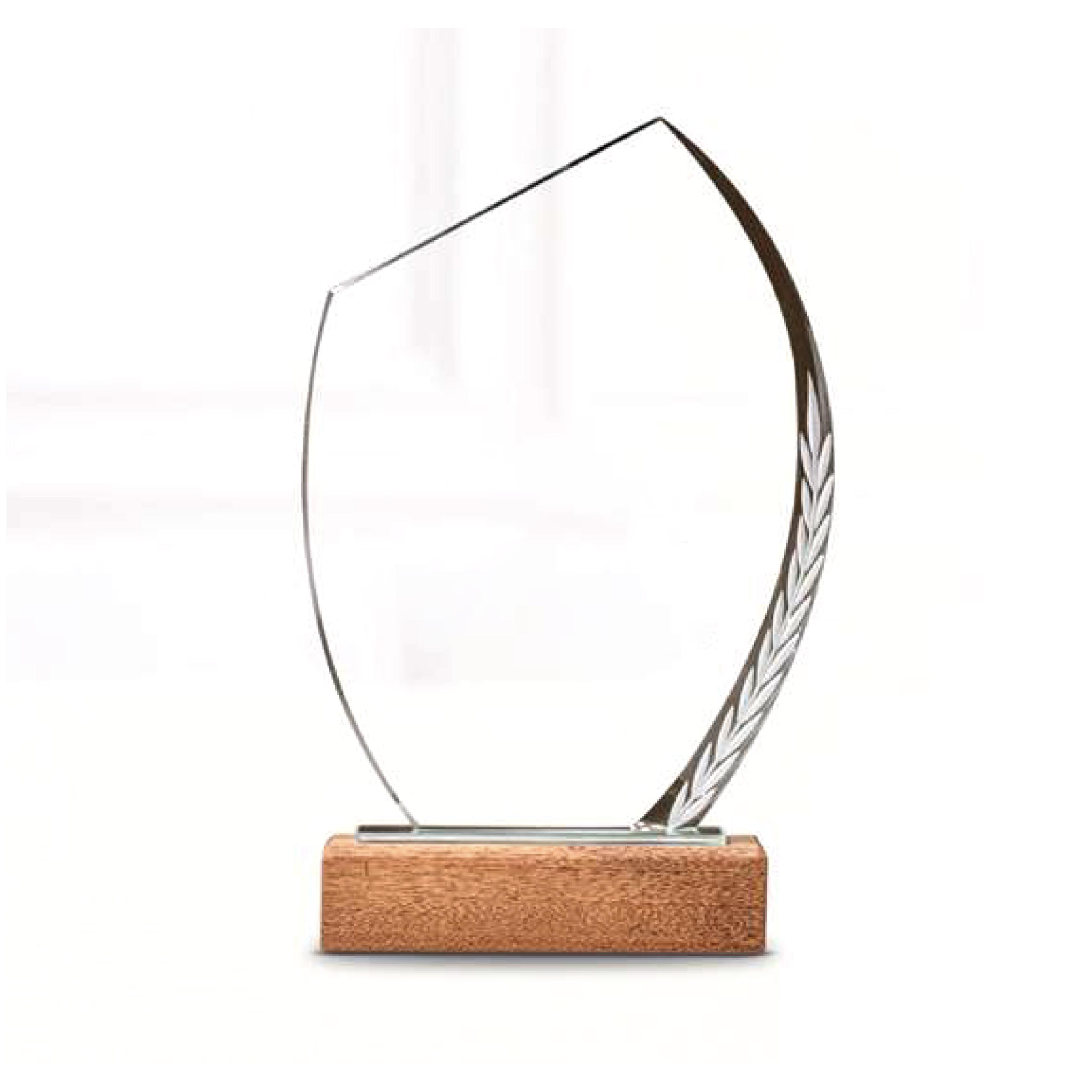 23x15 Crystal Trophy With Wooden Base Size